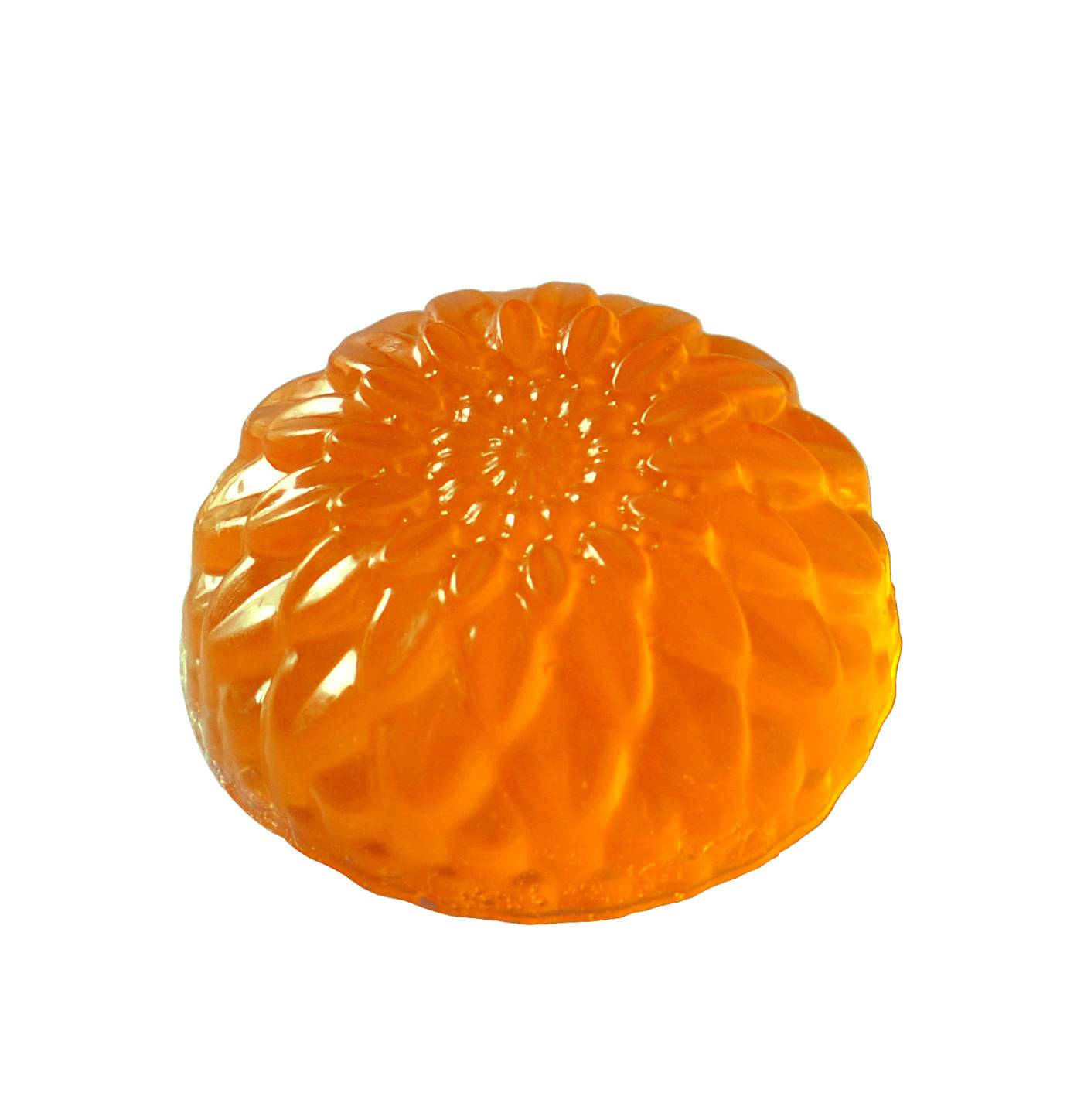 chryzantema pomarańczowa